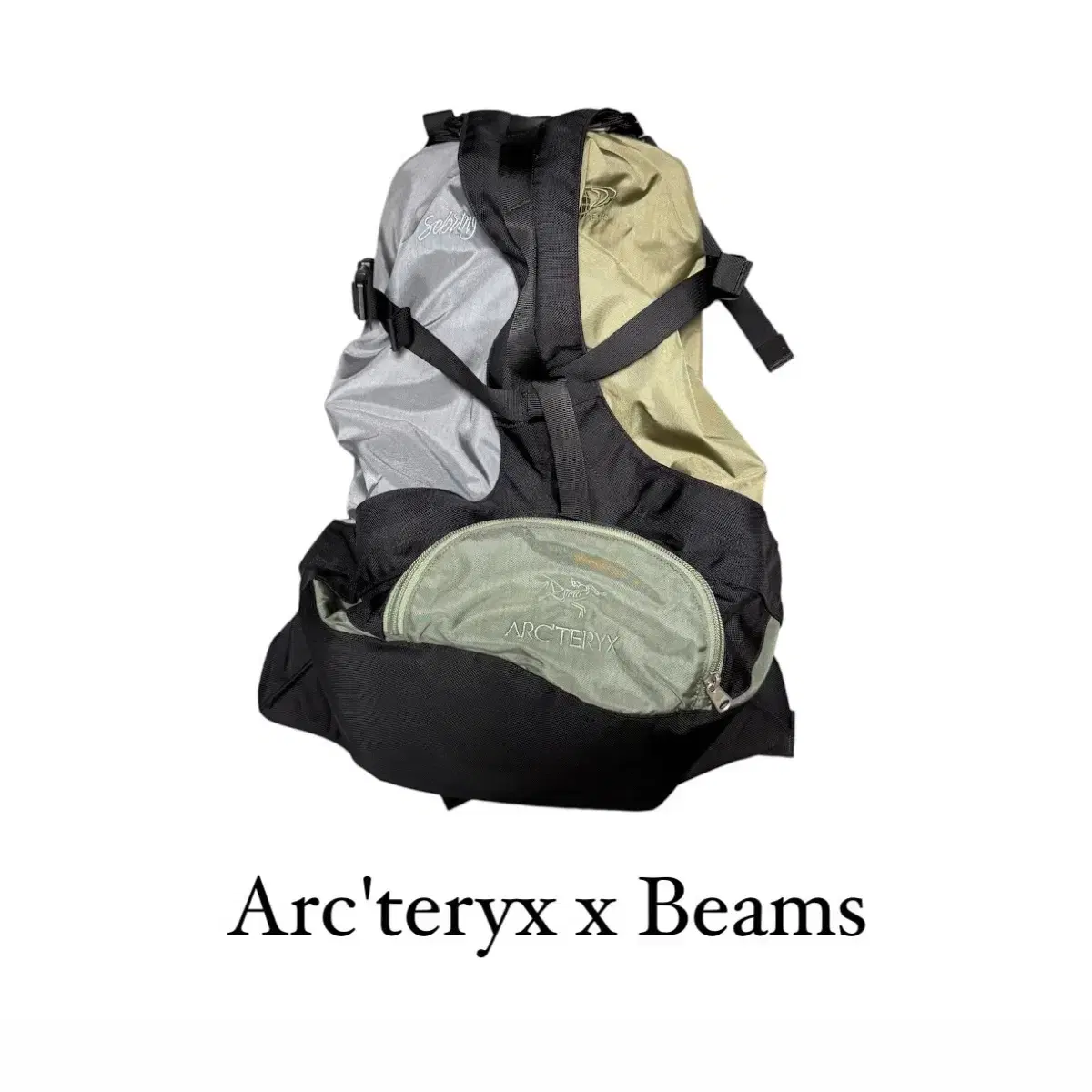 아크테릭스 빔즈 세브링 백팩 arcteryx